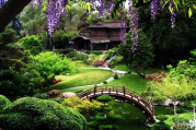 Golden Gate Park